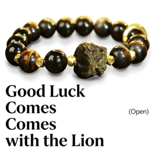 Chinese Taoist Dragon and Tiger Mountain Yao Shi Xing Shi Unisex Bracelet